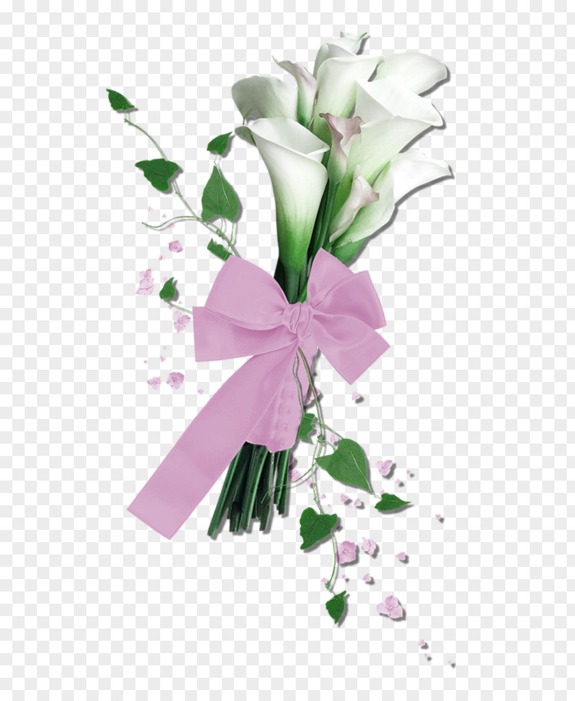 White Calla Flower Bouquet Ribbon Decorative Pattern Arum-lily Floral Design Clip Art PNG