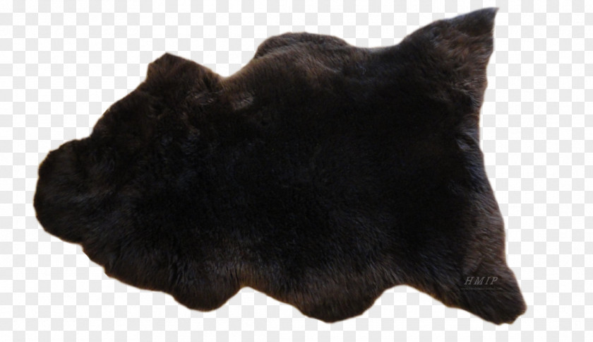 Cat Dog Fur Snout Canidae PNG