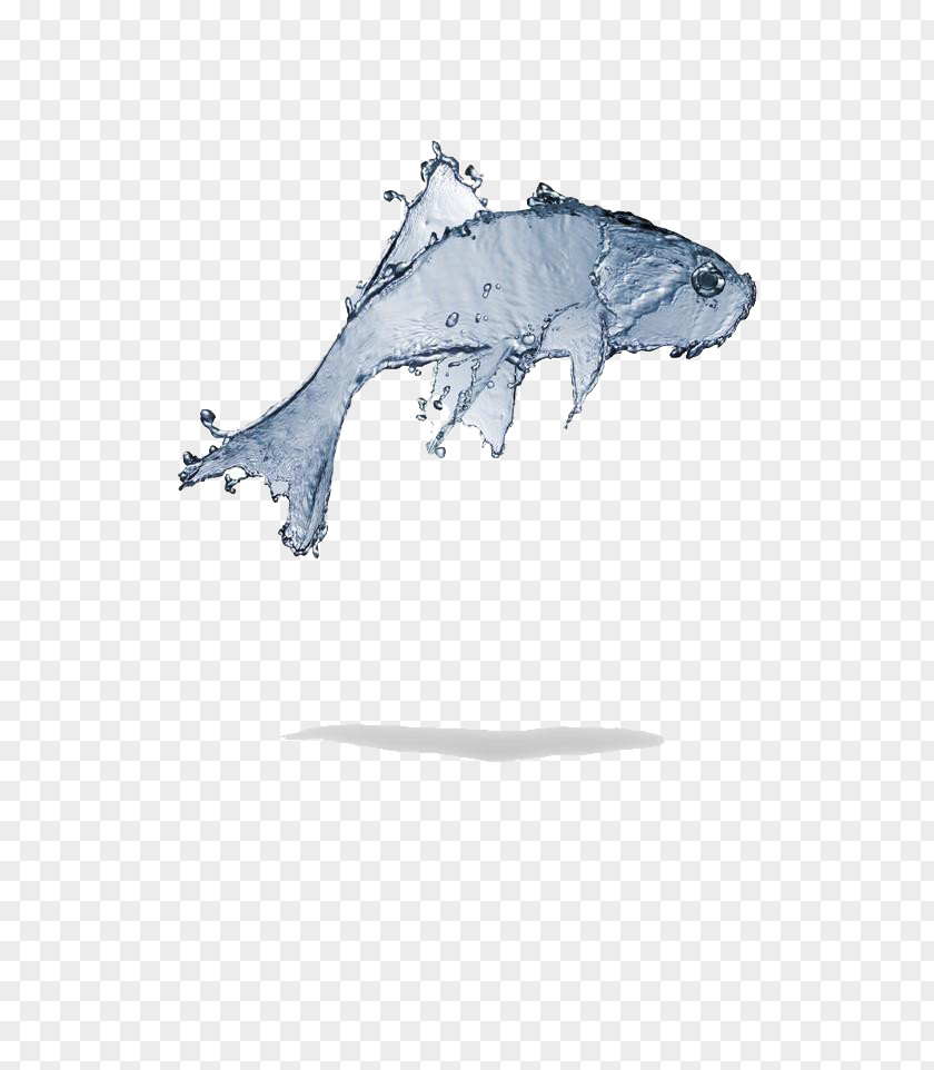 Cement Flying Fish Wallpaper PNG