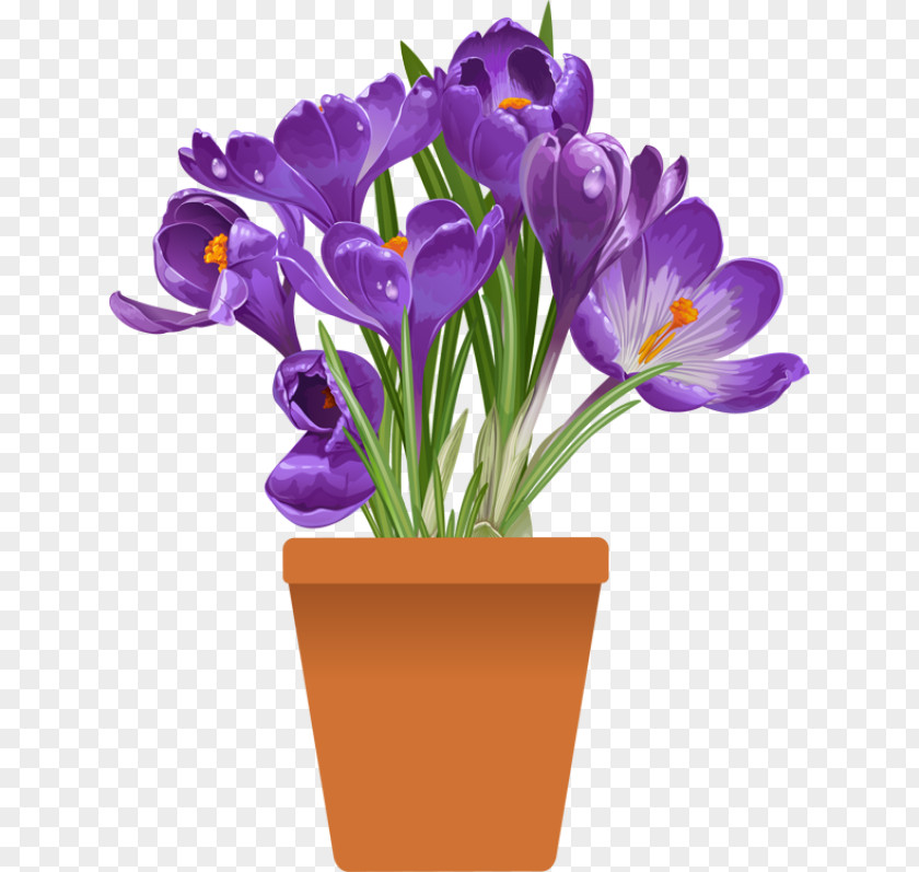 Flower Pot Plant Flowerpot Clip Art PNG