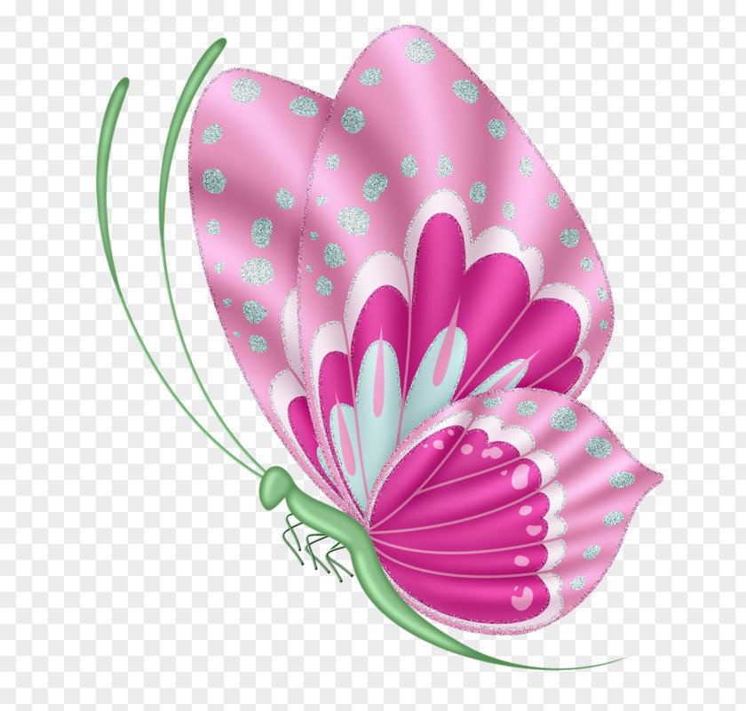 Pink Butterfly Insect Clip Art PNG