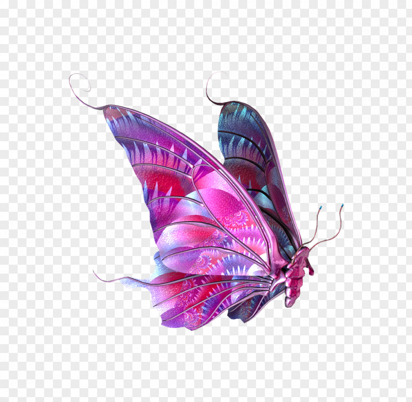 Butterfly Elements Clip Art PNG