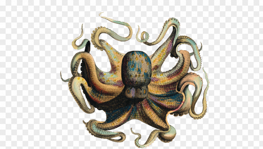 Giant Octopuses Abziehtattoo Bathroom PNG