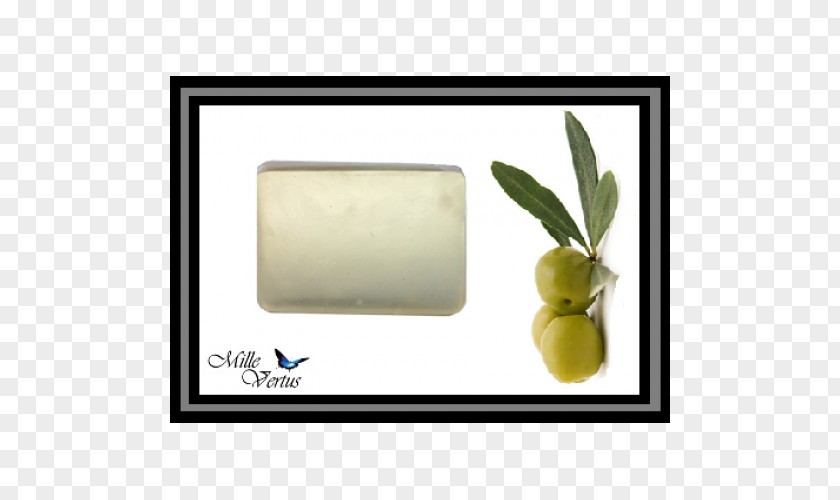 Glycerin Soap Greek Cuisine Olive Oil Rectangle Fruit PNG