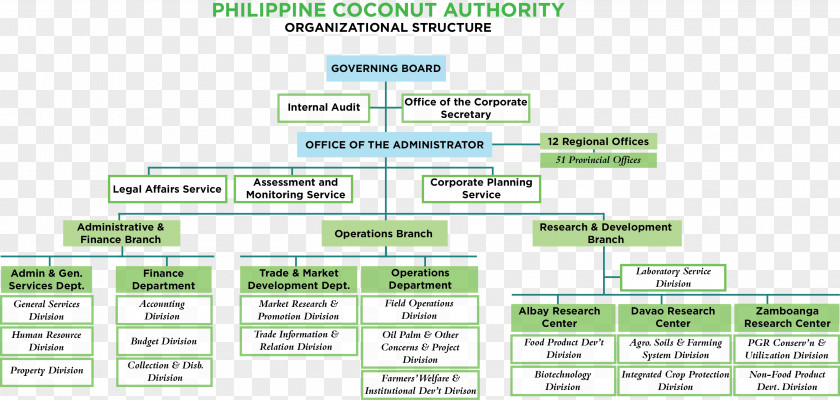 Mori Department Of Twigs Organizational Chart Project Management Structure PNG