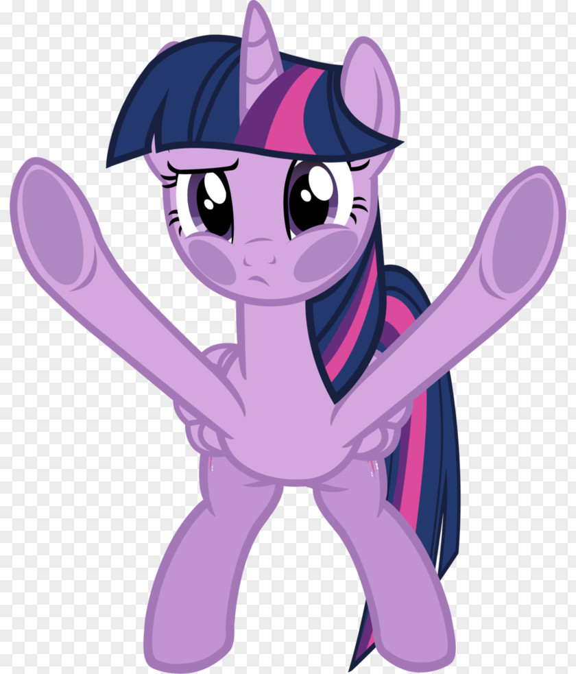 Sparkle Twilight My Little Pony Fourth Wall Art PNG