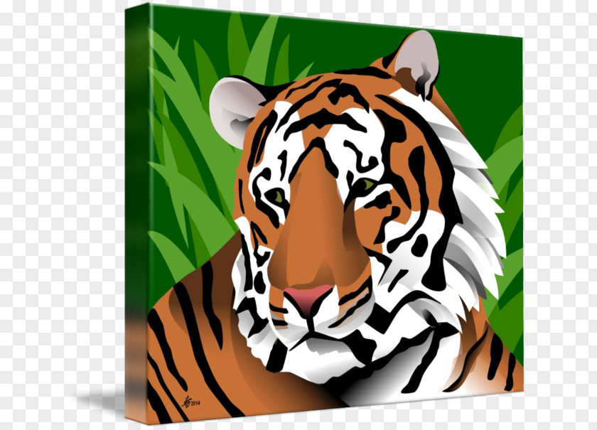 Tiger Cat Whiskers Snout PNG