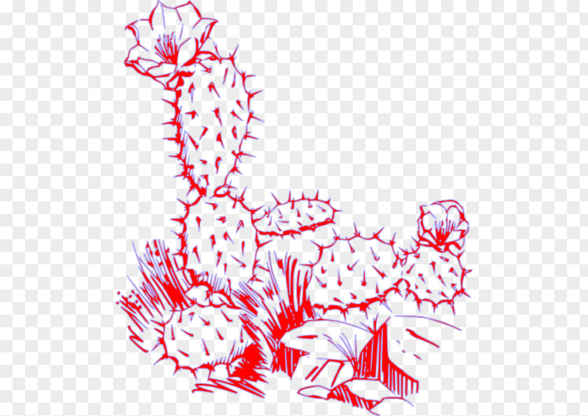 Cactus Wreaths Cactaceae Plant Desert Clip Art PNG