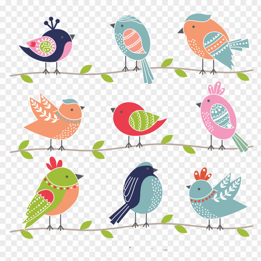 Cartoon Bird Album Cuteness Illustration PNG