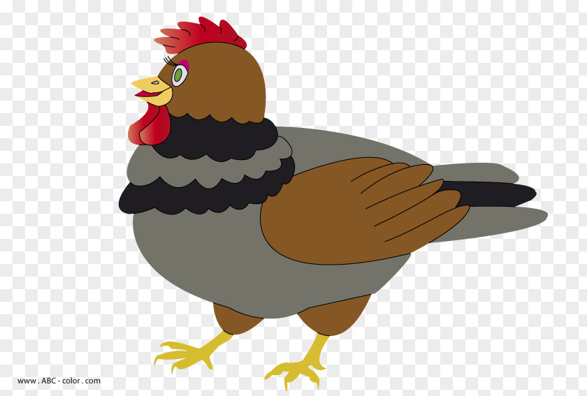 Chicken Rooster Drawing Clip Art PNG