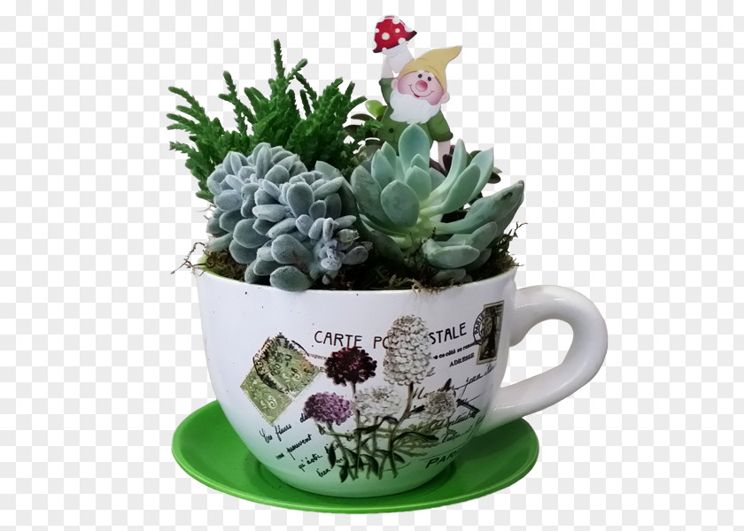 Flower Cactaceae Succulent Plant Echinocactus PNG
