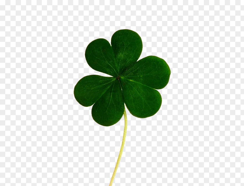 Lucky Clover Saint Patrick's Day Republic Of Ireland Luck Shamrock Black And Tan PNG