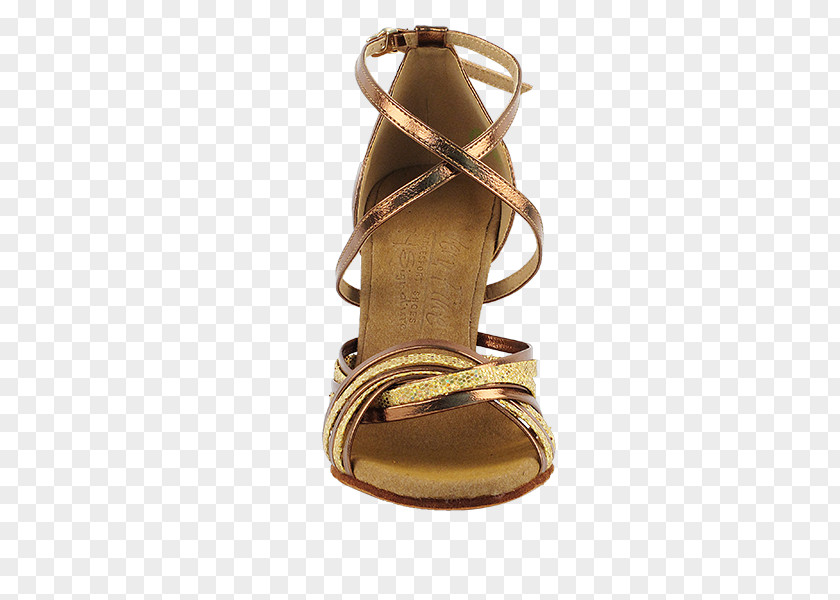Sandal Shoe 01504 PNG