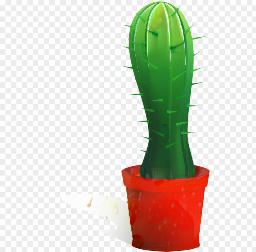 Succulent Plant Hedgehog Cactus Cartoon PNG