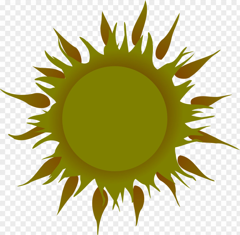 Symbol Sunflower PNG