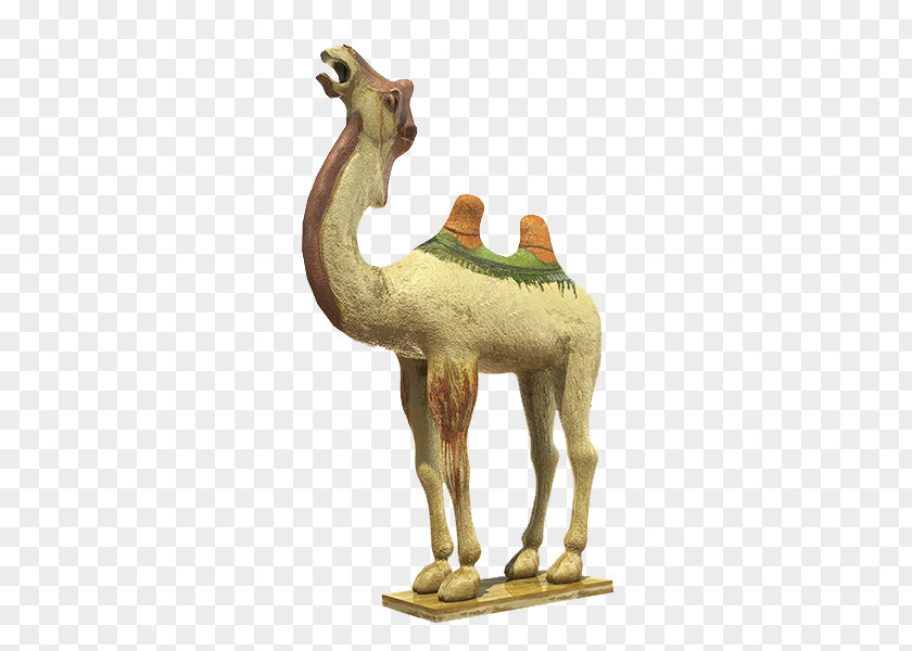 Desert Camel Silk Road Dromedary One Belt Initiative PNG