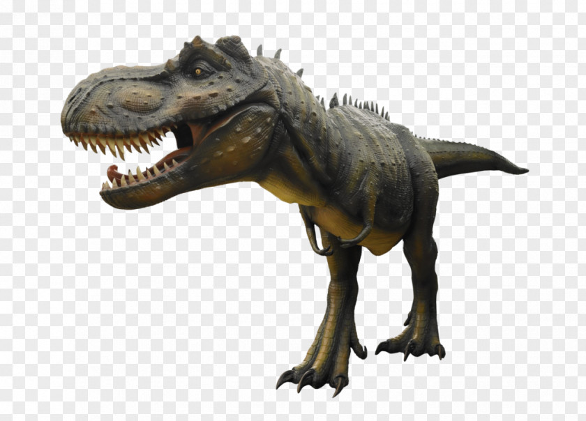 Dinosaur Tyrannosaurus Velociraptor Stegosaurus Cretaceous PNG