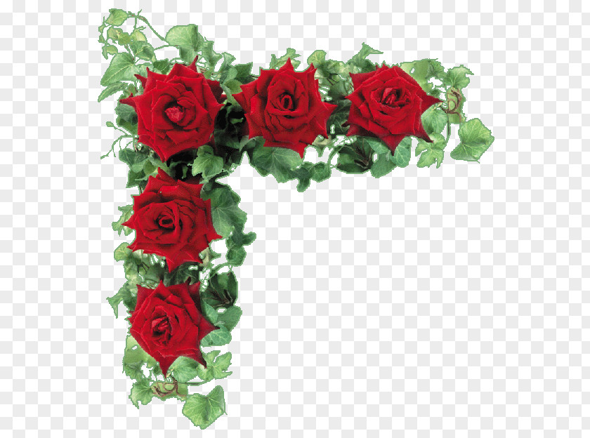 Garden Roses Floribunda Clip Art PNG