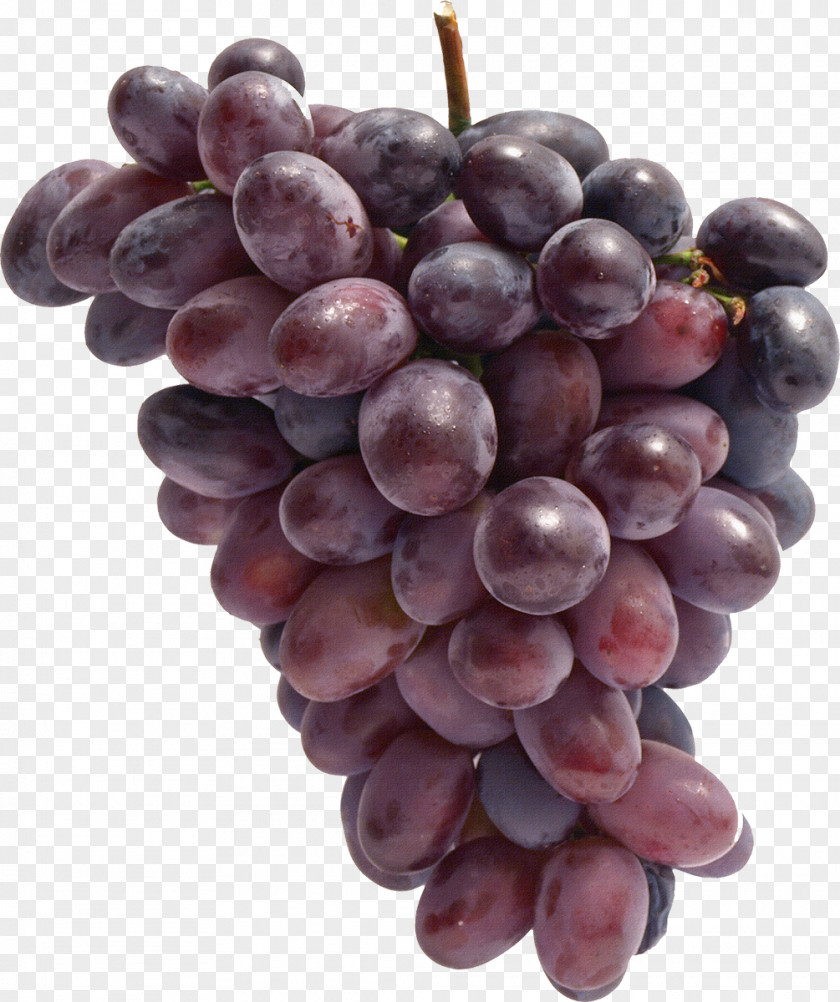 Grapes Common Grape Vine Food PNG
