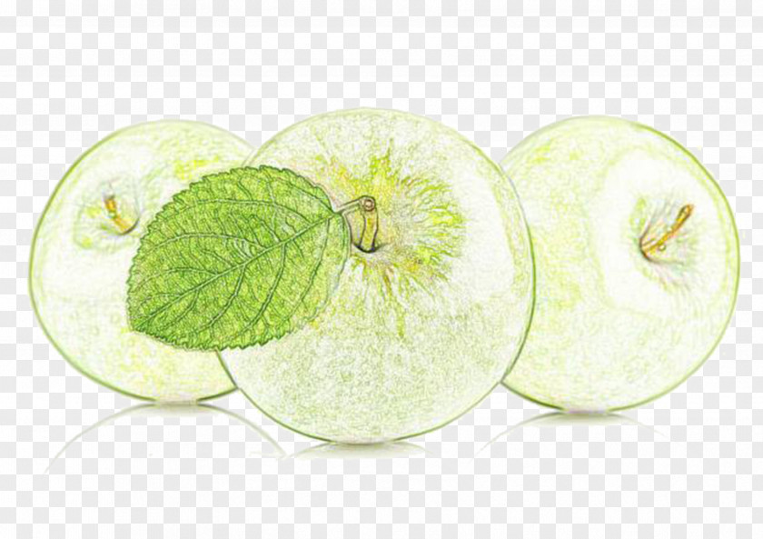 Hand-painted Apples Apple Drawing Colored Pencil Painting PNG