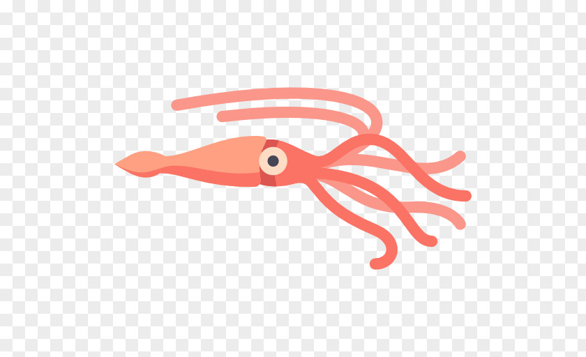 Squid As Food Animal PNG