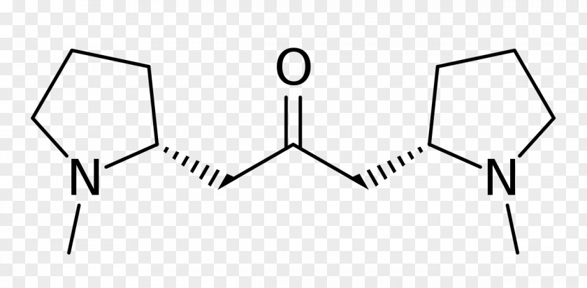 Chemical Formula Skeletal Molecule Chemistry Alpha-Pyrrolidinohexiophenone PNG