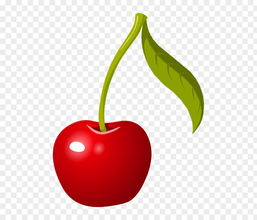 Cherry Vector Clipart Chocolate-covered Fruit Clip Art PNG
