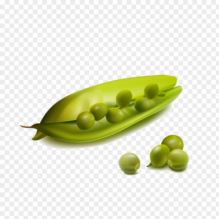 Fresh Peas Snap Pea Vegetable Clip Art PNG