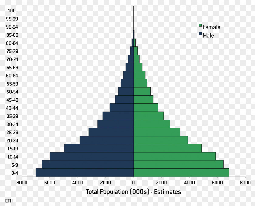Population Pyramid World Change PNG