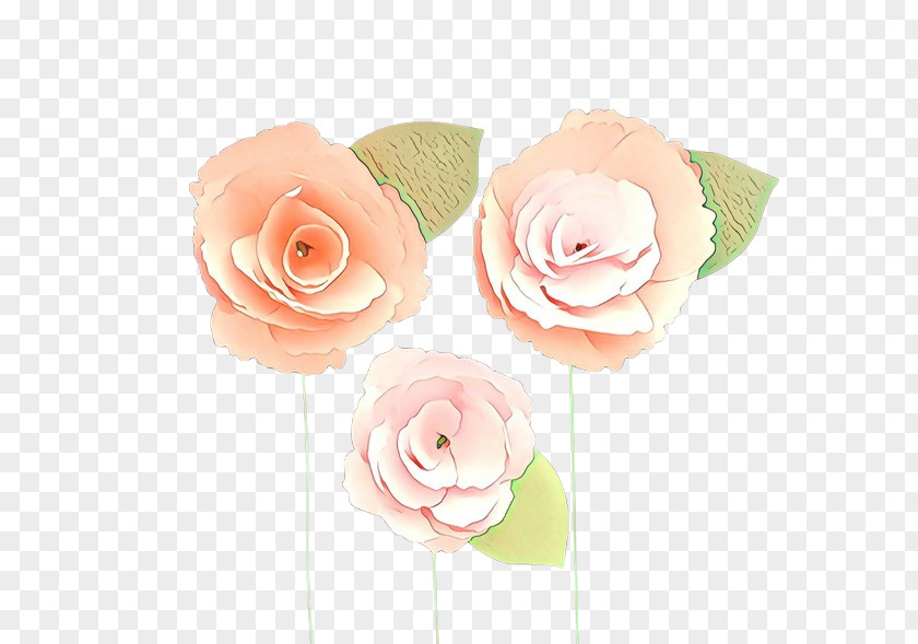 Bouquet Hybrid Tea Rose Pink Flower Cartoon PNG