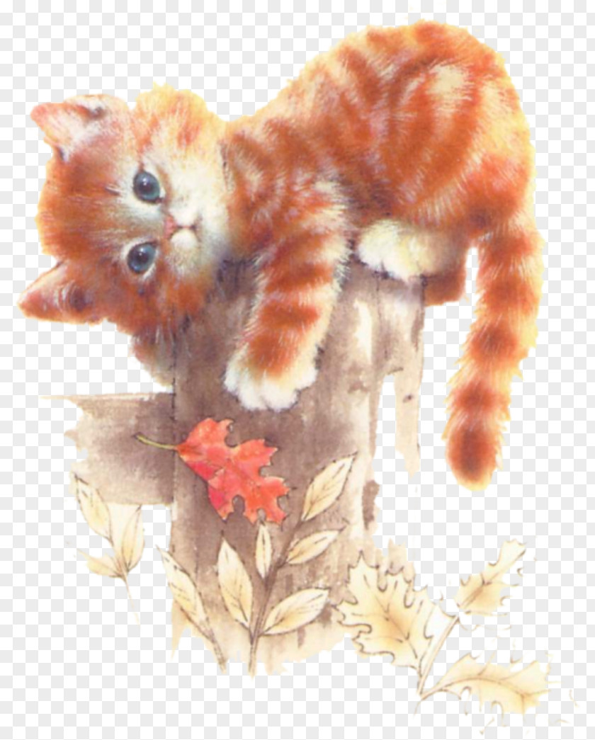 Cat Lolcat Kitten Puppy Bedding PNG