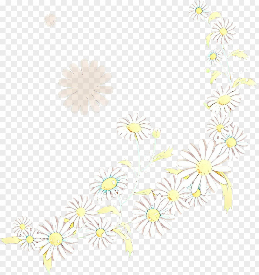 Chamomile Pedicel Floral Background PNG