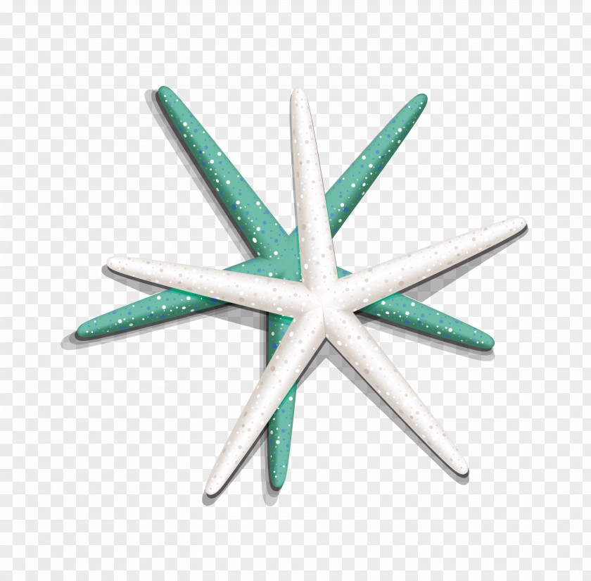 Starfish Pattern Clip Art PNG