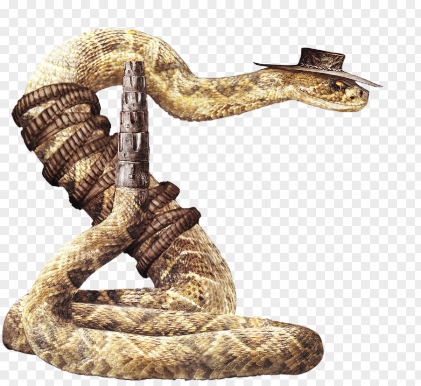 Anaconda Rattlesnake Jake Western Diamondback Character PNG