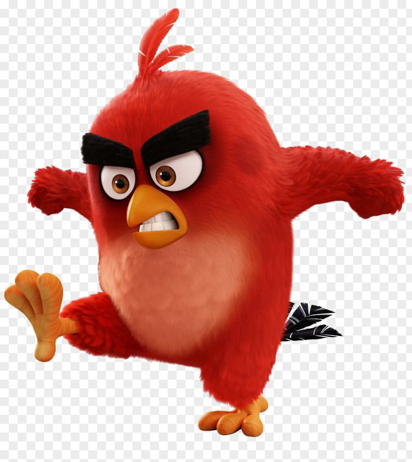 Angry Birds Bird Film YouTube Animation PNG