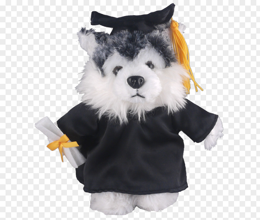 Graduation Gown Stuffed Animals & Cuddly Toys Dog Ceremony Academic Dress T-shirt PNG