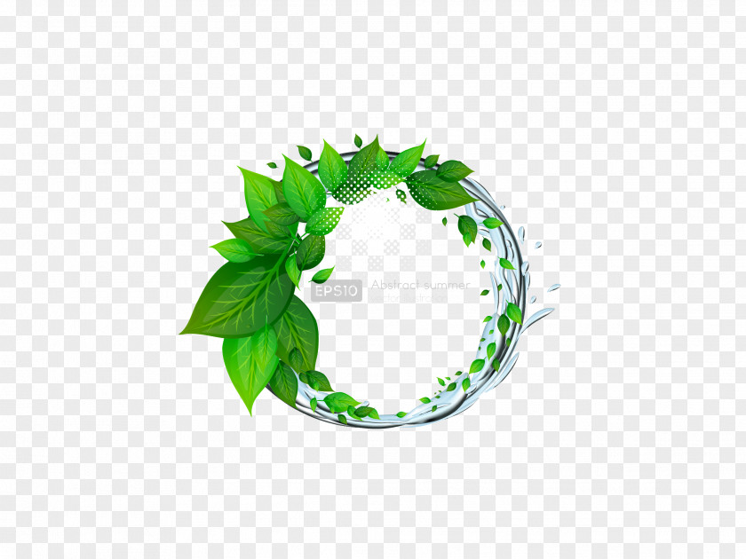 Green Leaf Download Icon PNG