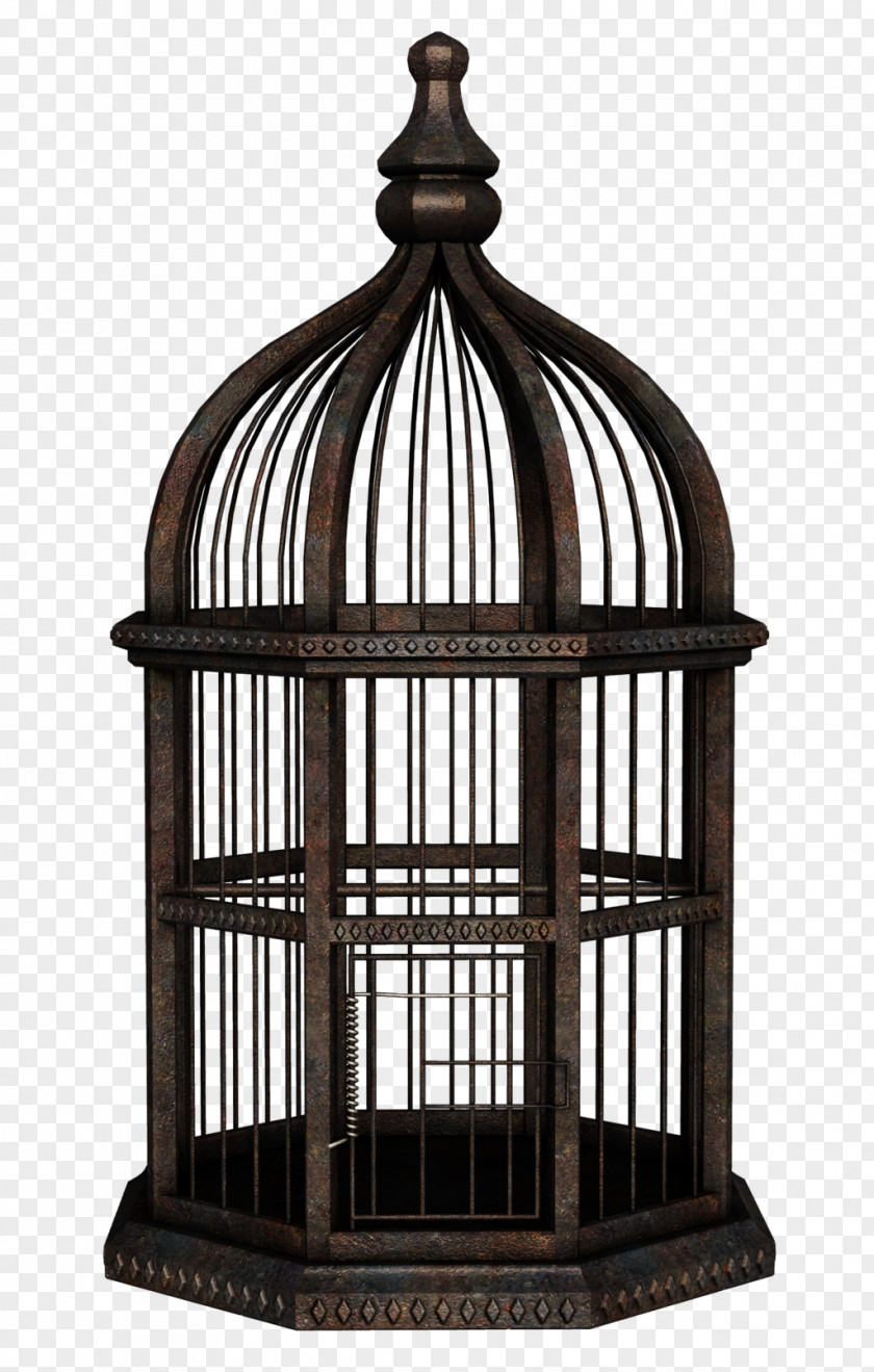 Bird Cage Birdcage Budgerigar PNG