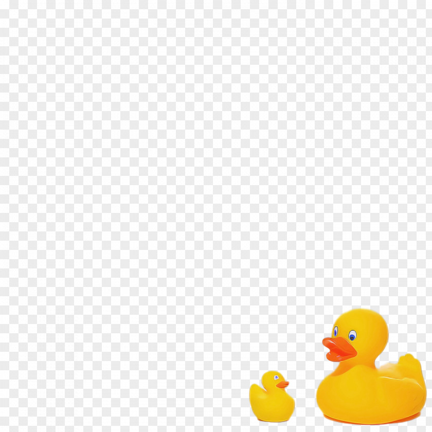 Duck Waterfowl Yellow Computer Beak PNG