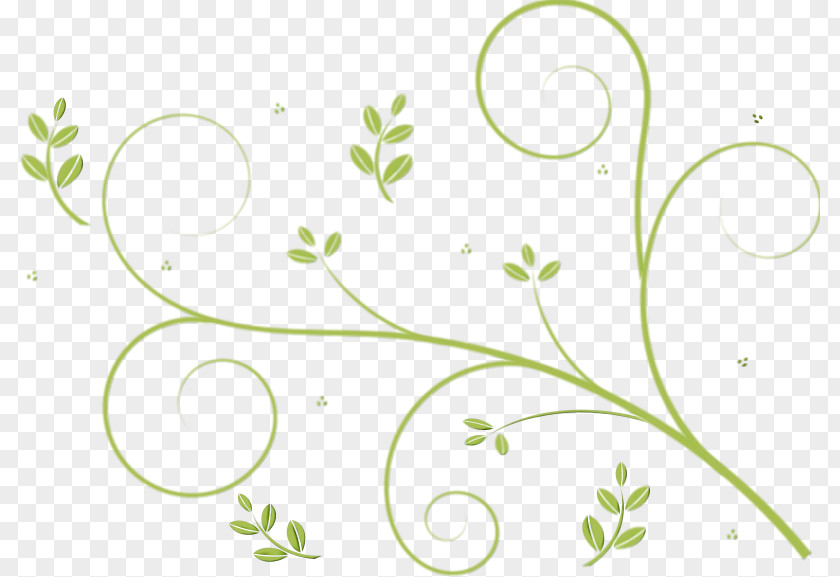 Floral Design PNG