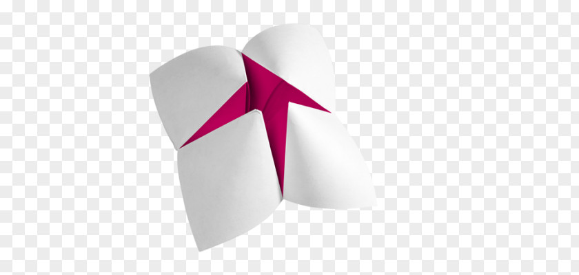 Fortune Teller Pink M RTV PNG