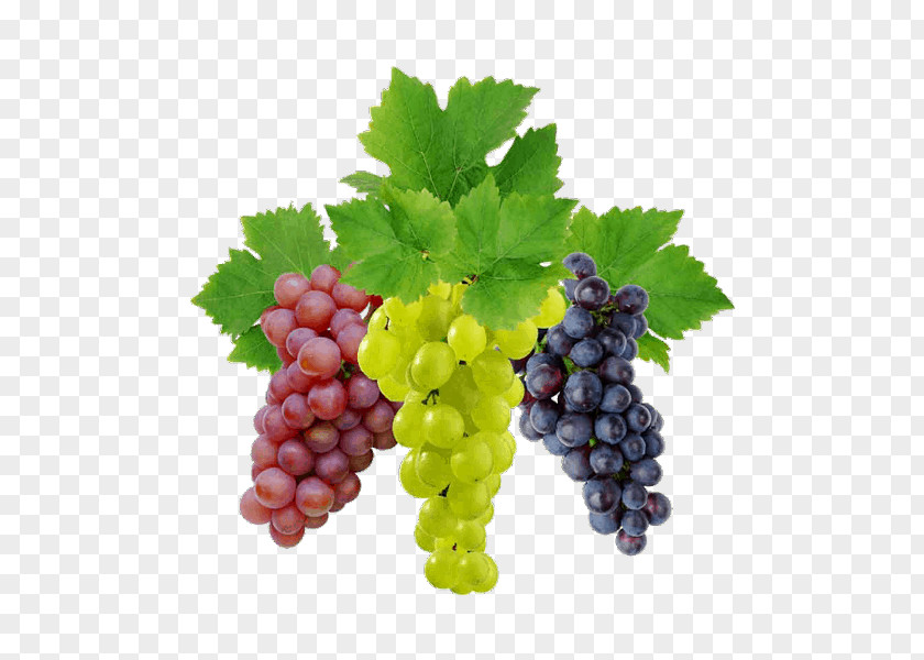 Grape Seedless Fruit Leaves Natural Foods PNG