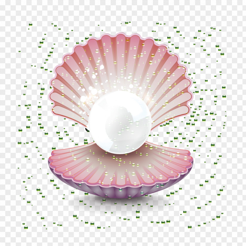 Pearl Shell Oyster Seashell Gemstone Clip Art PNG