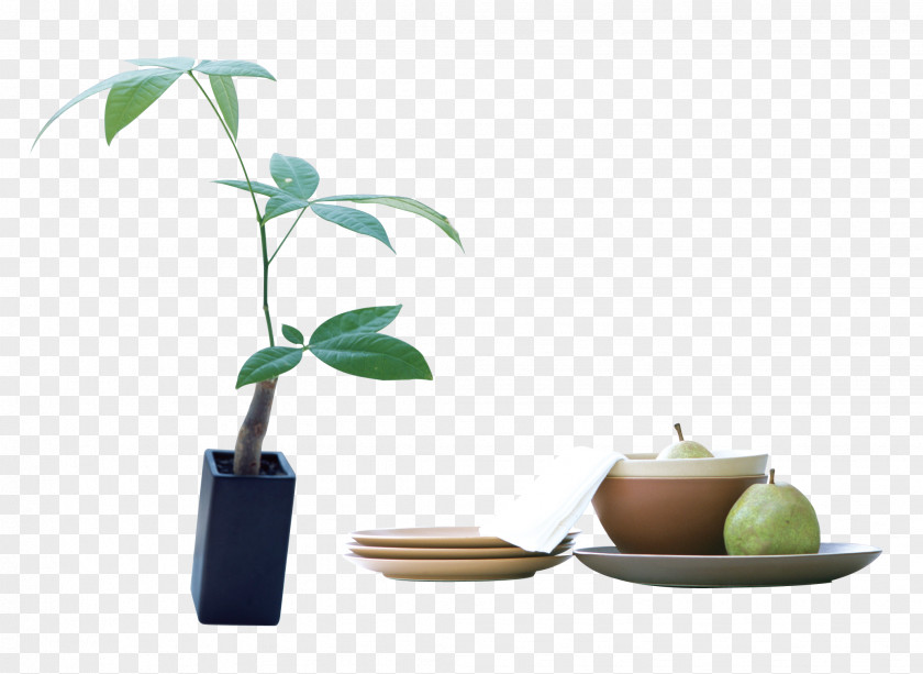 Vases, Potted Plants Pull Material Free Ceramic Flowerpot Bonsai Vase PNG