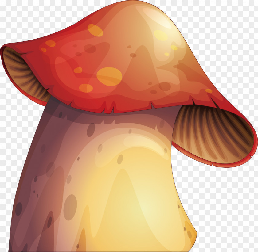 Vector Hand-painted Decorative Mushrooms Mushroom Euclidean Fungus Illustration PNG