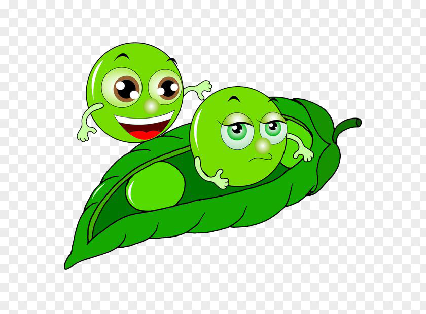 Baby Pea Soybean Cartoon PNG
