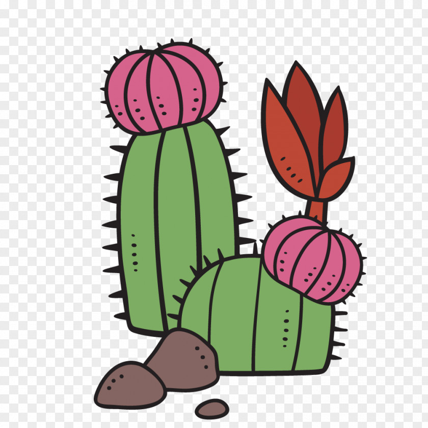 Cute Cactus Succulent Plant Image Clip Art PNG