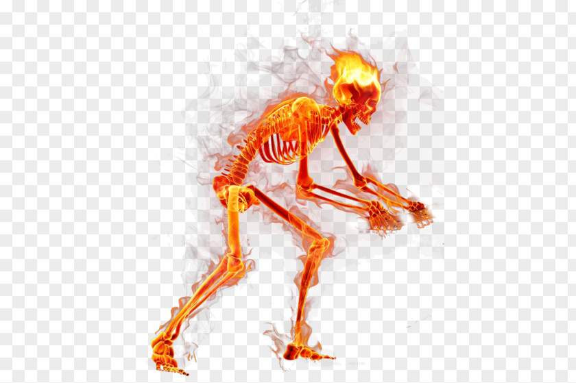 Flames Skull Flame Fire PNG