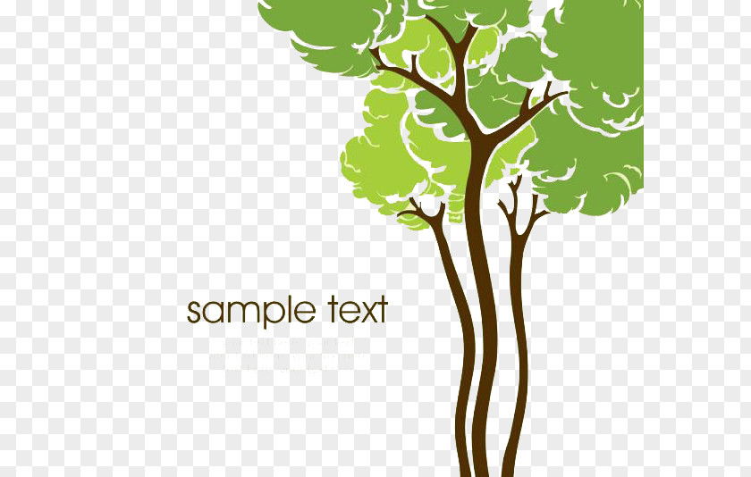 Hand Drawn Cartoon Tree Drawing Illustration PNG