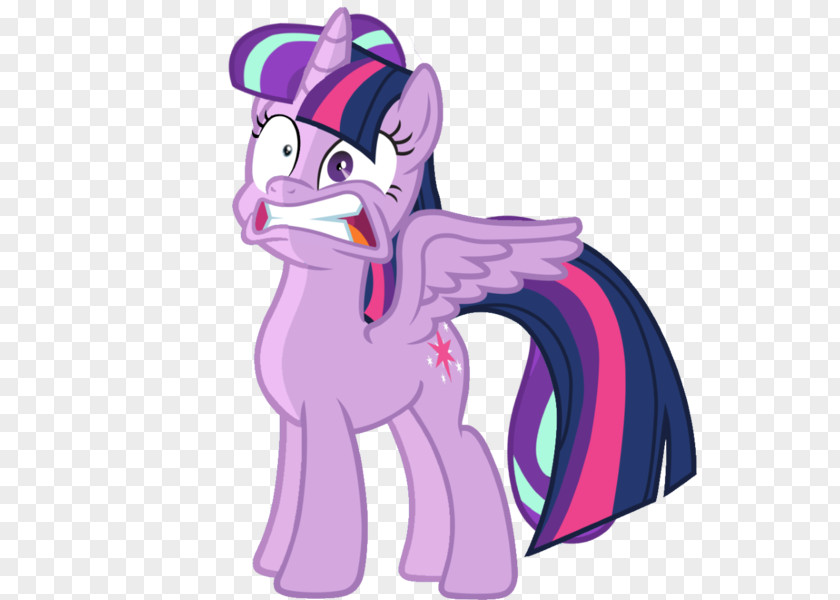 My Little Pony Twilight Sparkle Rarity Rainbow Dash Pinkie Pie PNG